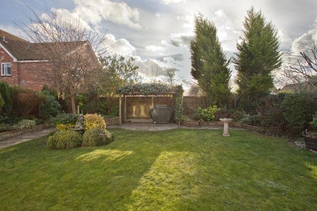 Garden view 2
