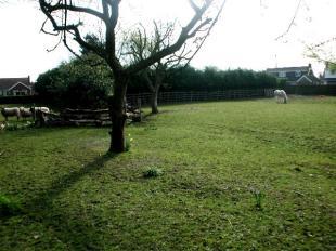 Paddock