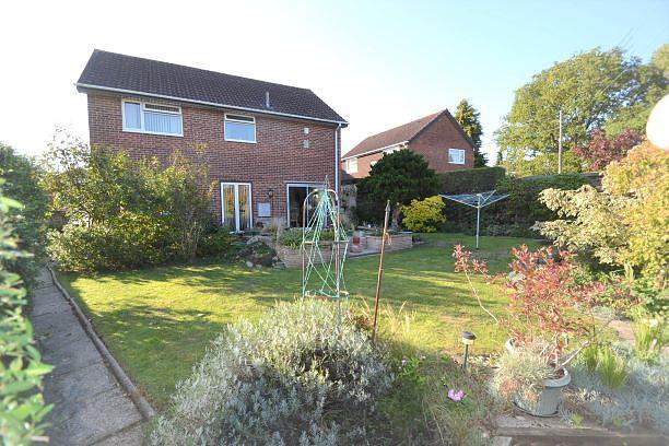 Rear of Property