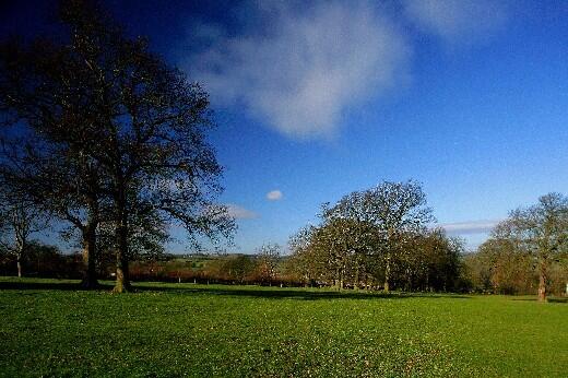 Countryside View