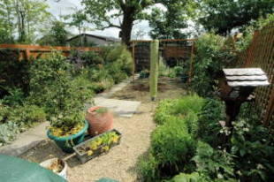 Photo 14