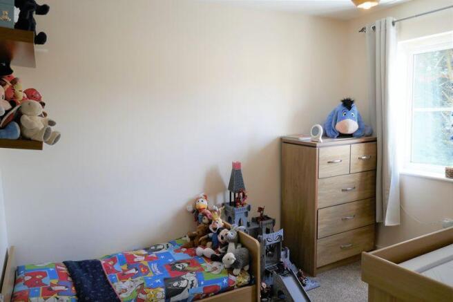 Photo 15