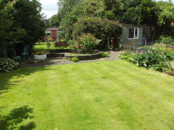 Photo 31