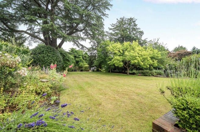 Lawn