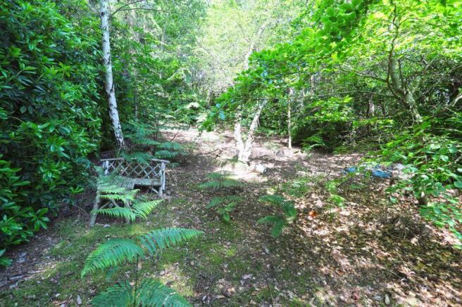 Woodland Area