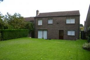 Rear Elevation