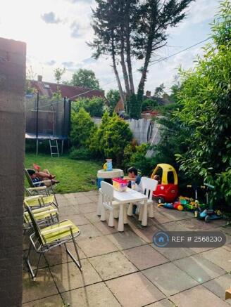 Back Garden