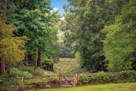 Vann Lake Road, Ockley, Dorking, Surrey RH5