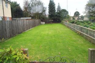 Garden Pic Two