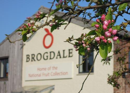 Brogdale Collections.jpg