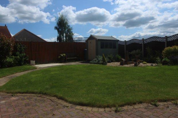 Back Garden 
