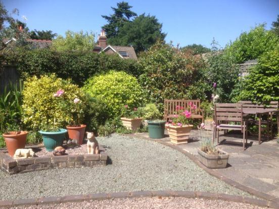 Garden 1