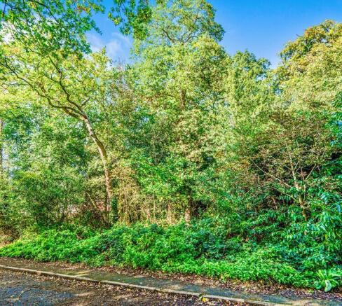 Photo-2025-10-05-12-12-56  1  T202510051931 T202601181611 T202602201637.jpg