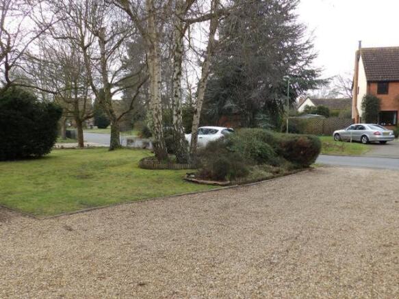 Photo 15