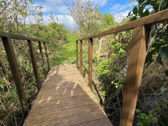 bridge.jpeg
