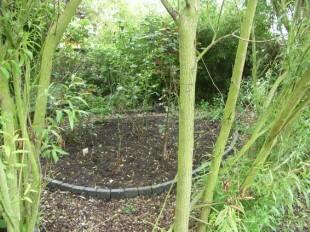 Rear Garden 6