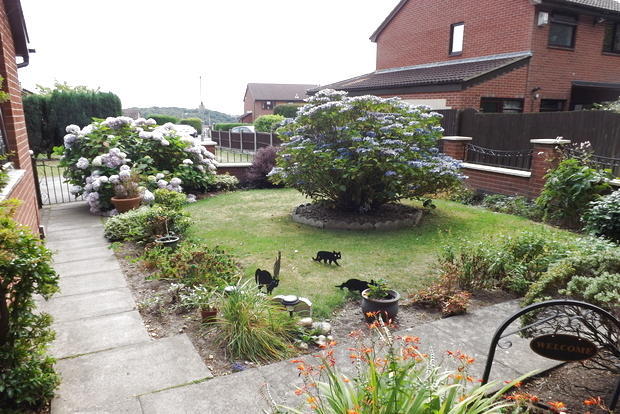 Photo 13
