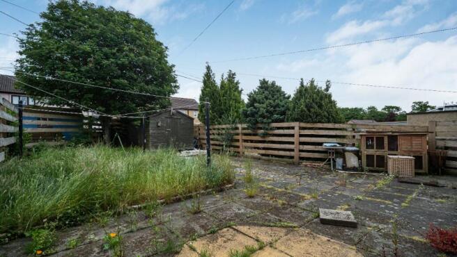Back Garden 