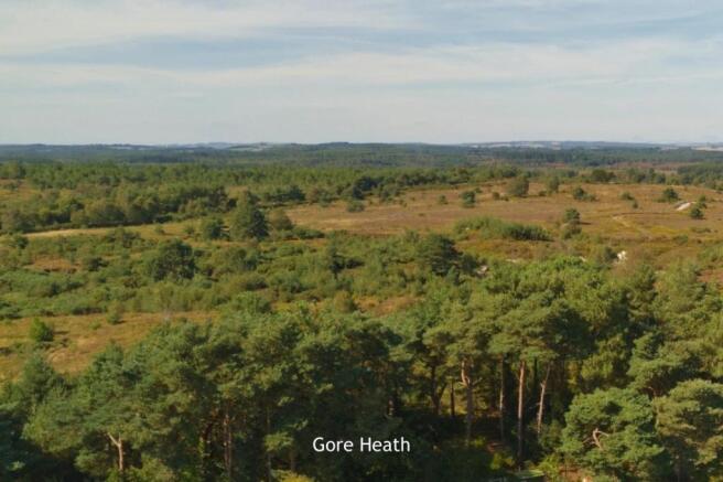 9-Gore Heath