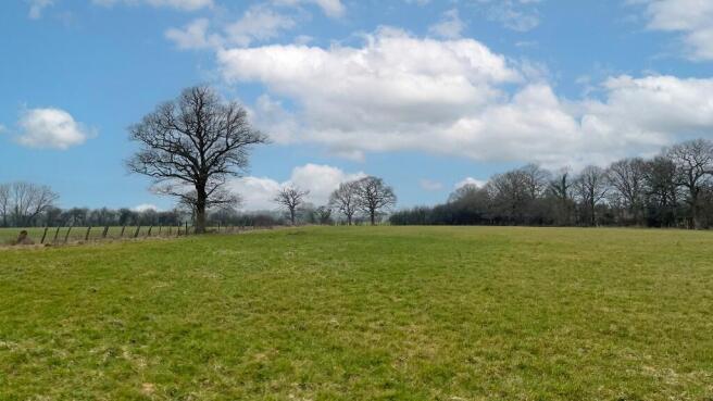 Flat pasture land.