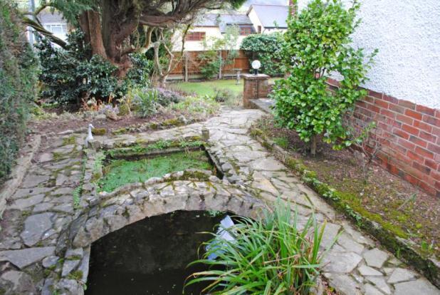 Pond