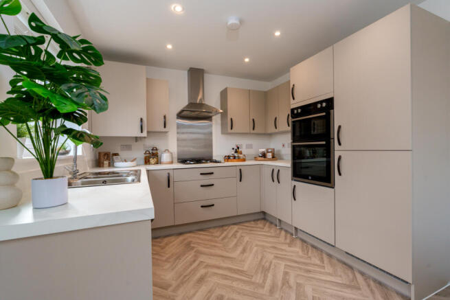 The Holly Special kitchen