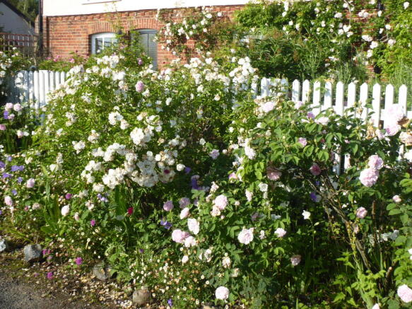 FrontGarden.JPG