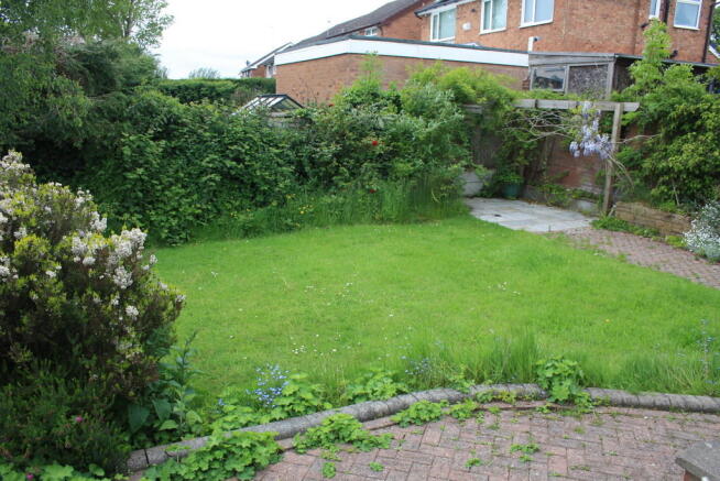 Photo 24