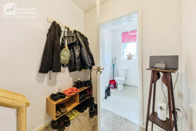 IMAGE 7