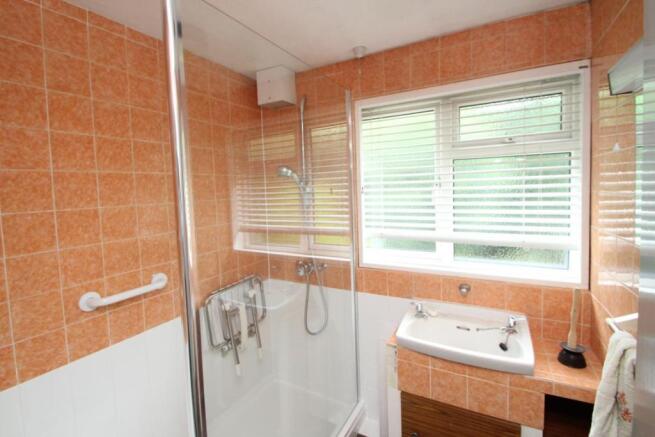 Picture 8