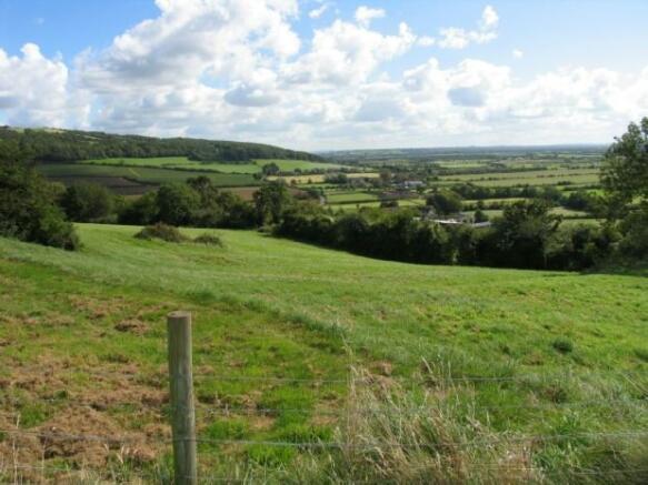 Paddocks Pic 3