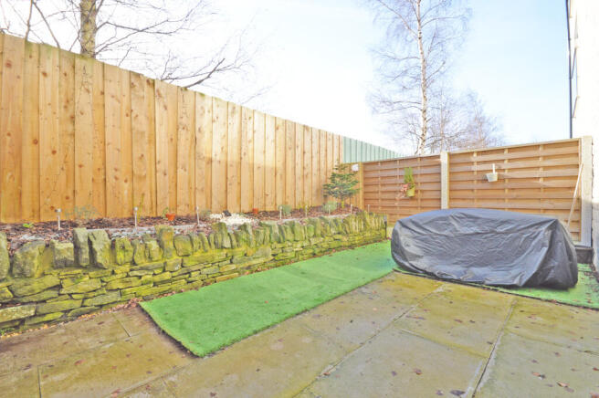 Rear Yard