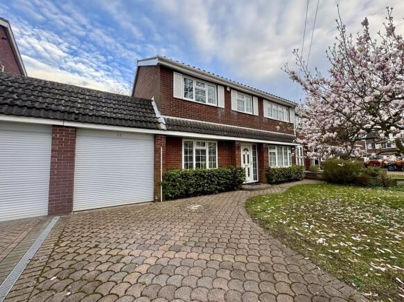 IMG_5082