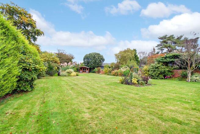 Garden at Back