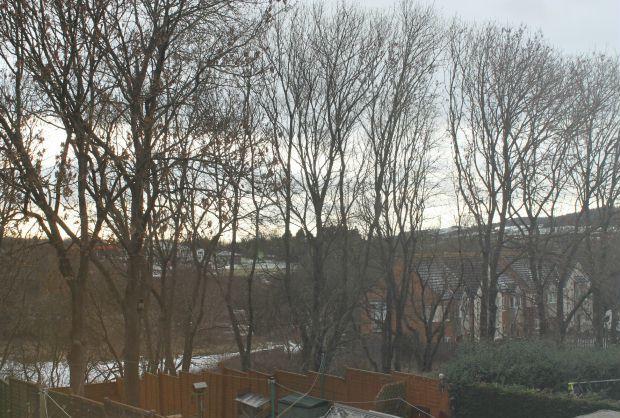 View from Bedroom 1