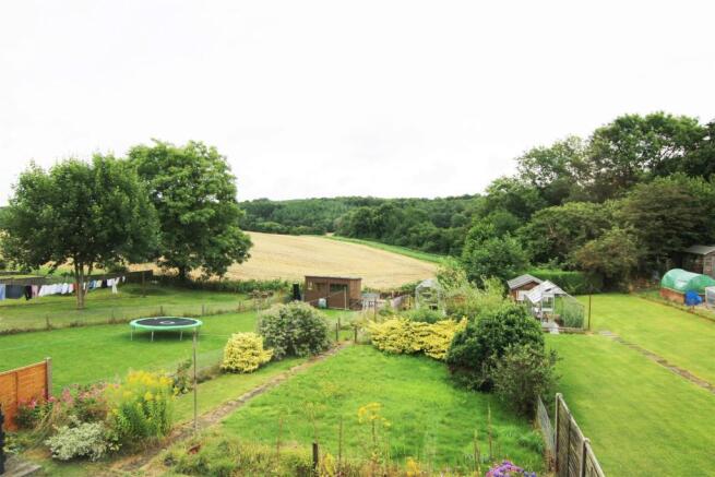 Garden.jpg
