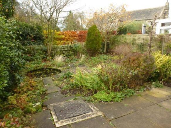 Pond Feature