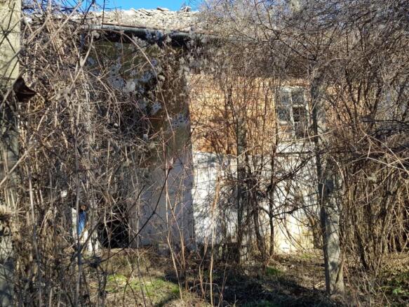 Facade of an old house covered with dry vines and branches in winter