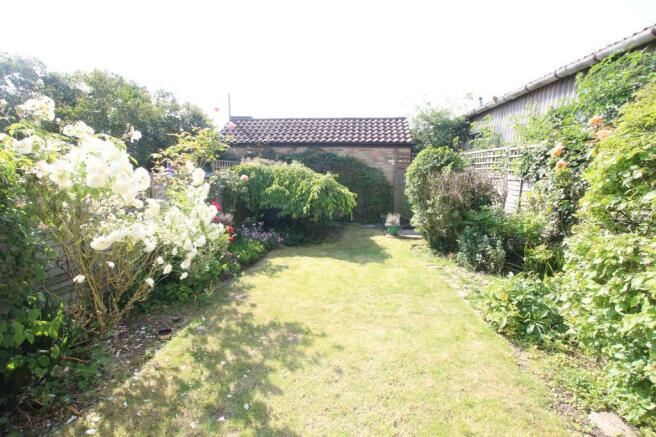 Garden 3.JPG