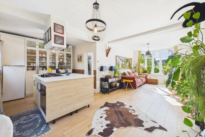 Open Plan Living Room and Kitchen