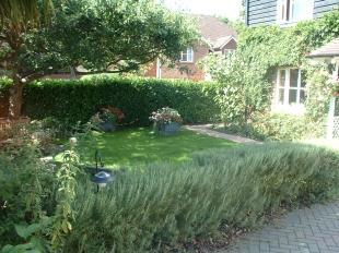 Front Garden