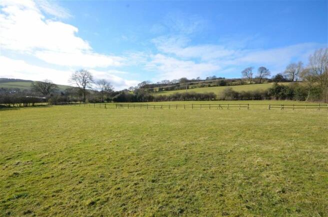 MIDDLE PADDOCK