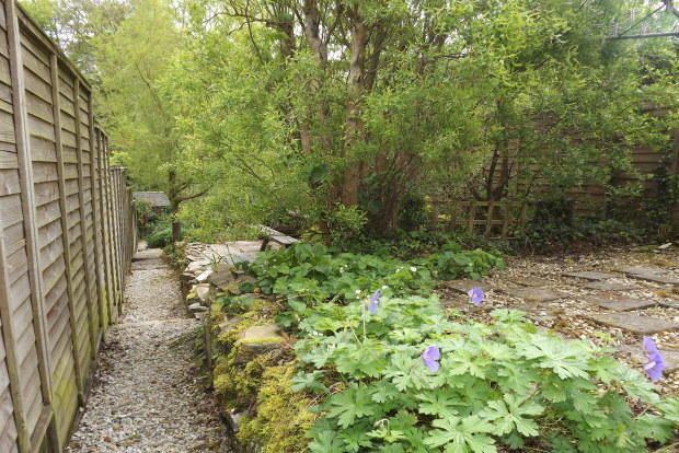Photo 13
