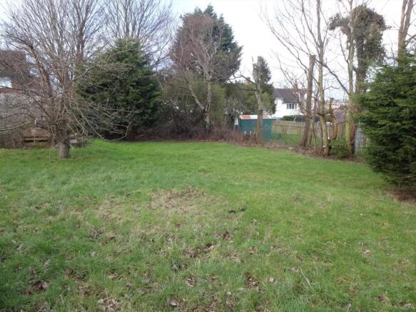 garden4