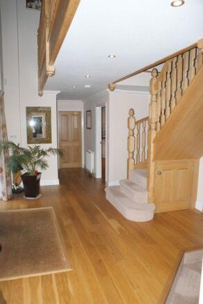 Photo 11