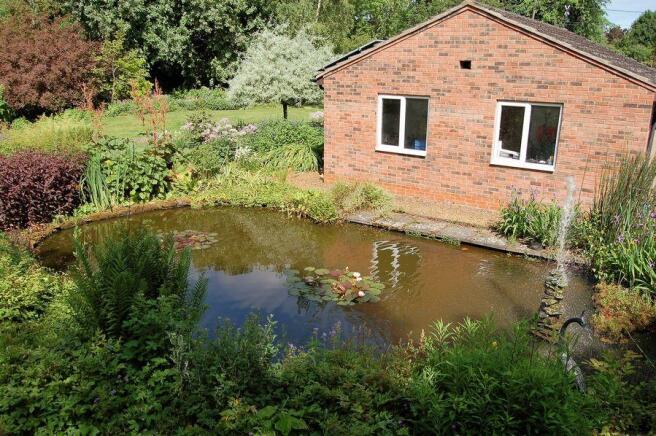 POND