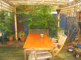 Rear Courtyard