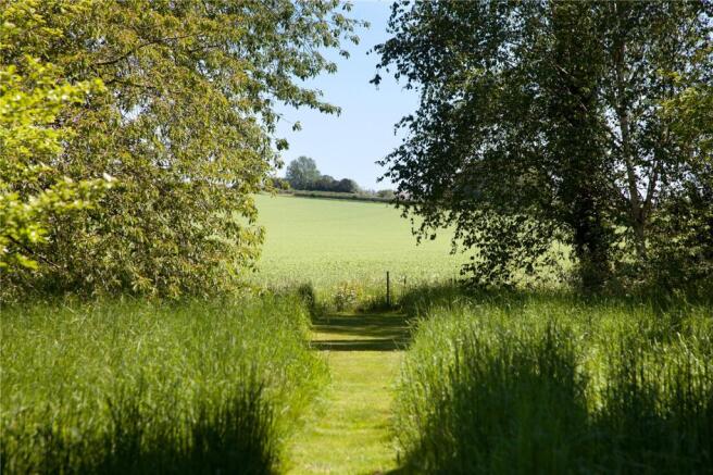 Far Reaching Views