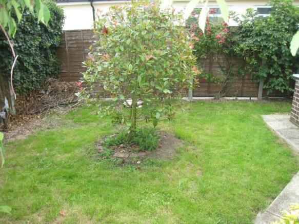 Photo 13