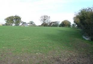 Paddock View